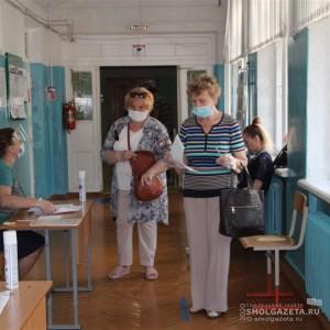 Алексей Пещаницкий: претензий к организации общероссийского голосования нет
