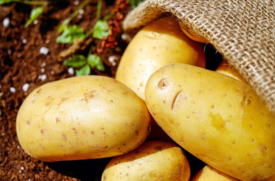 Опубликовано экспертное заключение о поставке некачественного картофеля в детские сады Смоленска