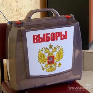 Анастасия Бышевская: голосование организовано с соблюдением всех норм санитарной безопасности 