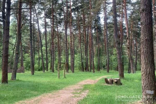 Территориальное развитие Смоленска не затронет его «зеленый пояс»