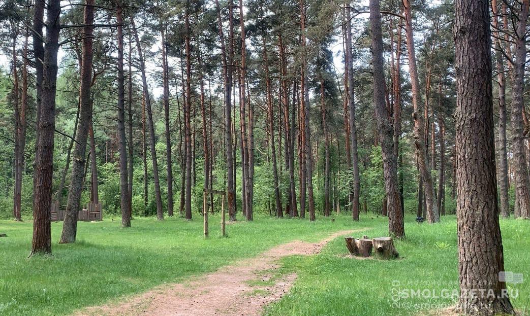 Территориальное развитие Смоленска не затронет его «зеленый пояс»