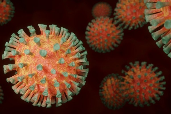 В Смоленске число заболевших коронавирусом возросло до 1608 человек