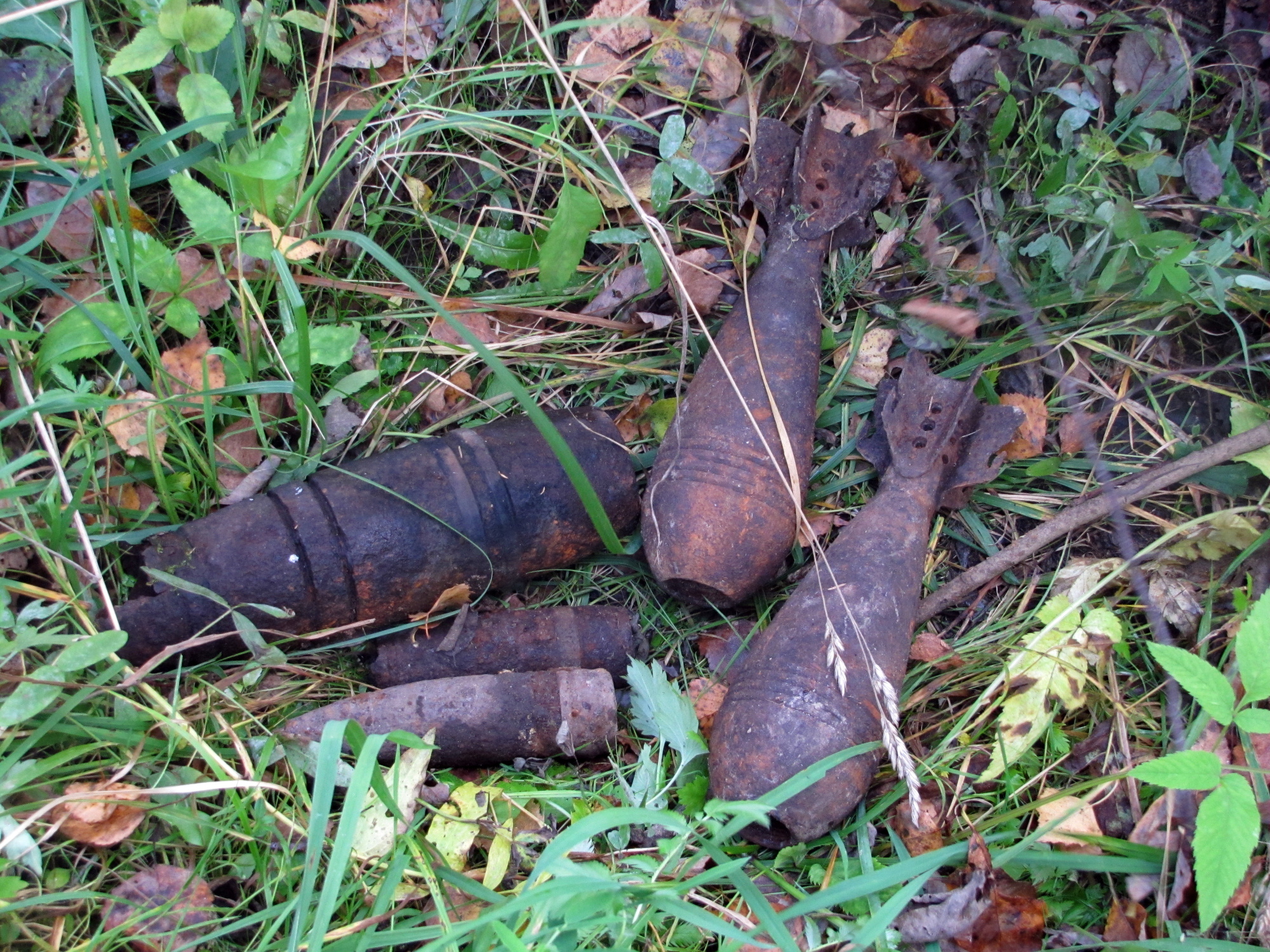 В Смоленске на берегу Днепра нашли гранату