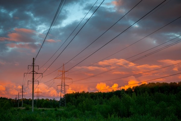 В Починковском районе неизвестные украли 240 метров электрических проводов