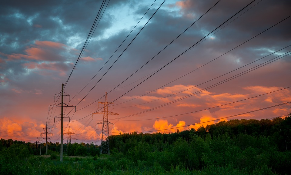 В Починковском районе неизвестные украли 240 метров электрических проводов