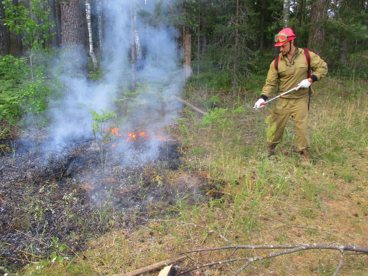 19 бесед с гражданами провели лесные пожарные в рамках патрулирования на Смоленщине