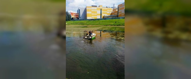 В Смоленске пруд в парке 1100-летия очищают от водорослей