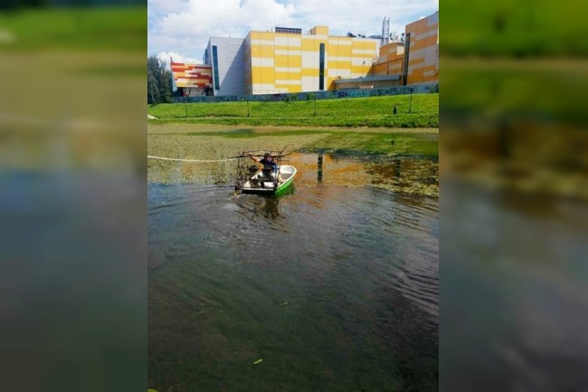 В Смоленске пруд в парке 1100-летия очищают от водорослей
