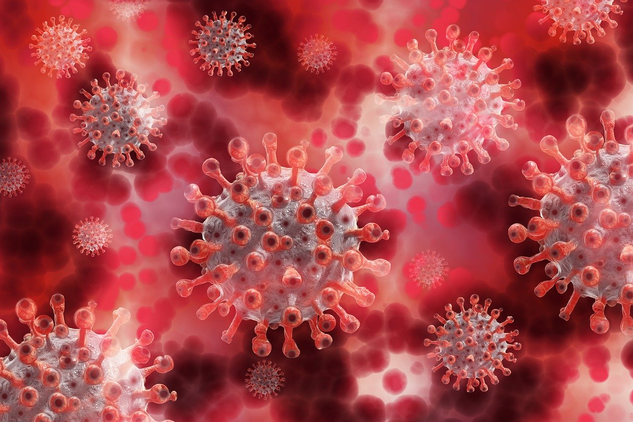 В каких районах Смоленщины выявили новые случаи коронавируса
