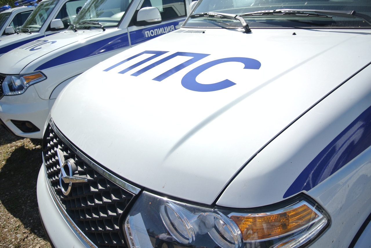 65 преступлений зарегистрировали смоленские полицейские в ходе профилактического мероприятия «Улица»