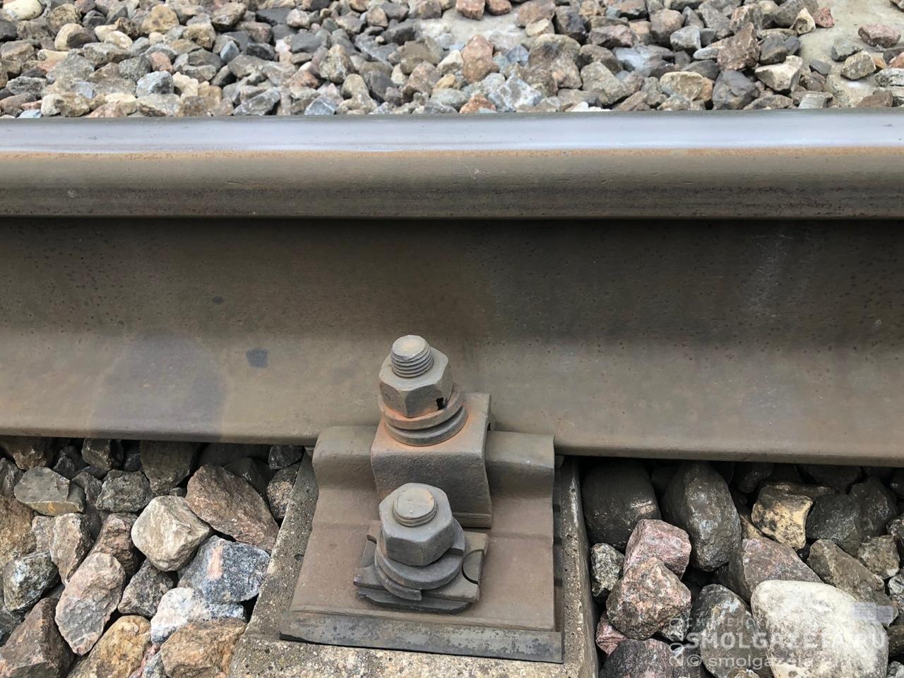 Смолянин стащил детали железной дороги