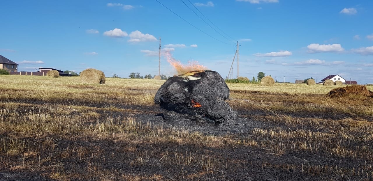 В поле под городом Гагарин произошло самовозгорание сена