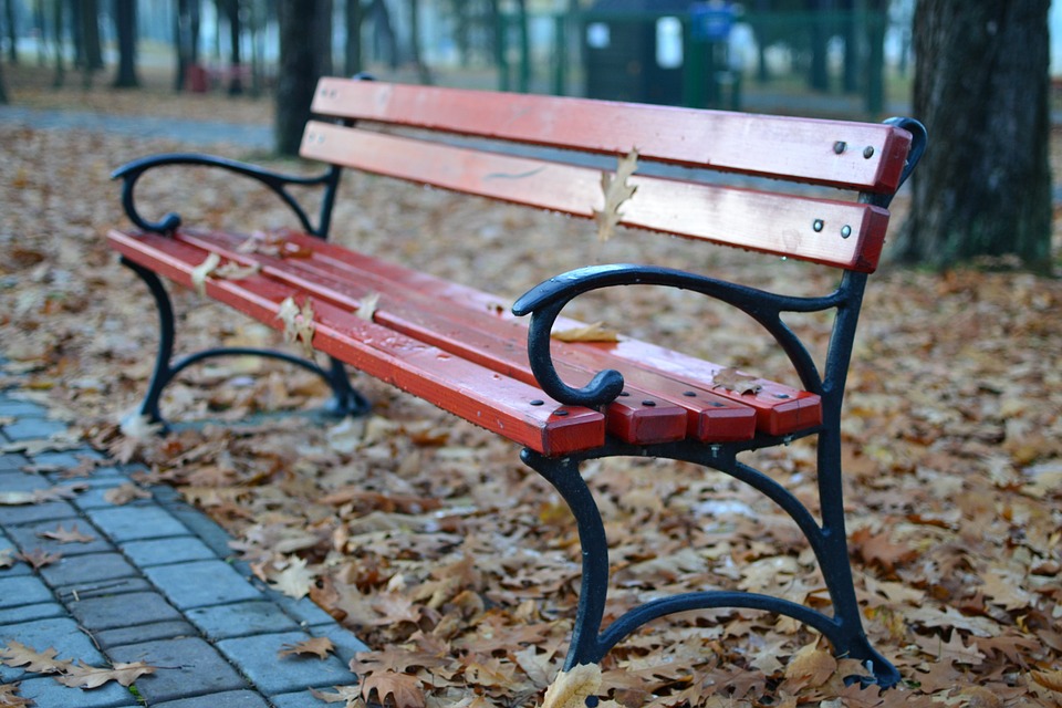 Благоустройство городского парка в Ельне планируют завершить к концу сентября