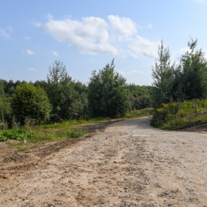 Строительство дороги между Алтуховкой и трассой «Брянск – Смоленск» планируют начать в 2021 году
