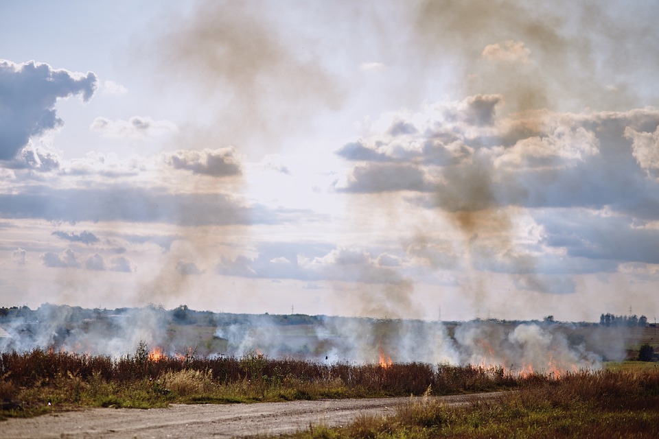 Четыре тонны сена сгорело в поле в Рославльском районе