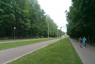 Дорогу к озеру в Реадовском парке благоустроят