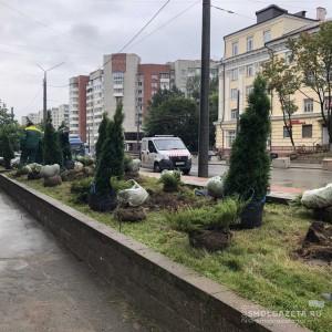 В Смоленске началось озеленение улицы Николаева
