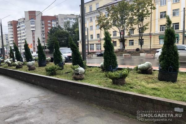 В Смоленске началось озеленение улицы Николаева