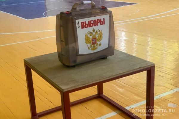 На 10:00 явка на выборах губернатора Смоленской области составила более 17 %