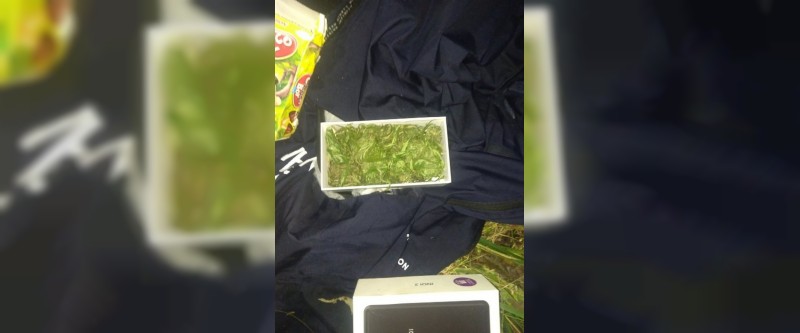 Житель Велижа хранил марихуану в коробке из-под телефона