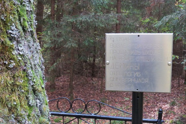 Смоленские следователи узнали историю появления в лесу памятного места семьи Деминых 