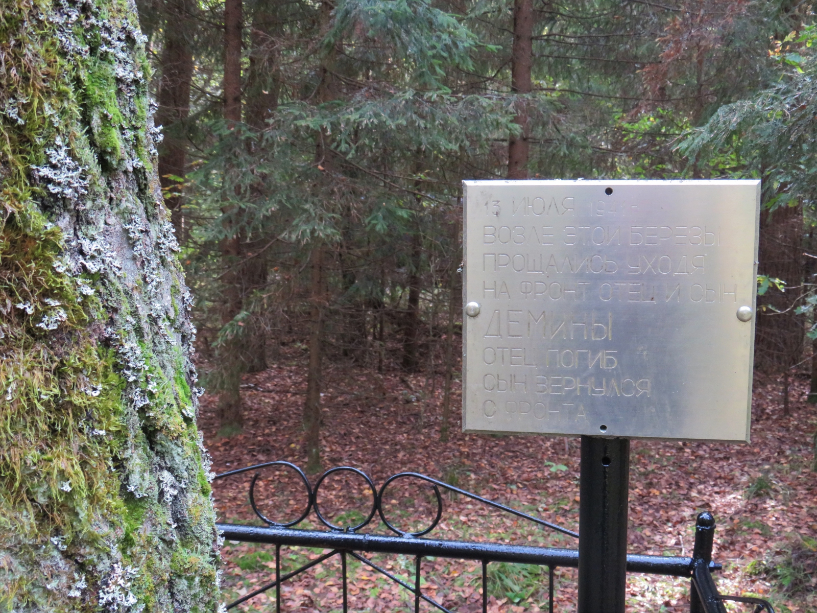 Смоленские следователи узнали историю появления в лесу памятного места семьи Деминых 