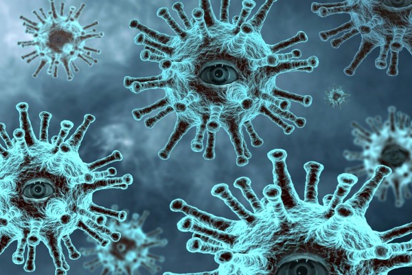В Смоленской области провели 168324 тестов на наличие коронавируса