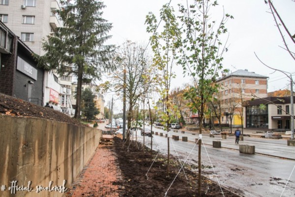 Улица Николаева в Смоленске подверглась активному озеленению