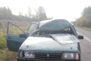 После столкновения с лосем водитель и пассажир «ВАЗ-2109» получили травмы