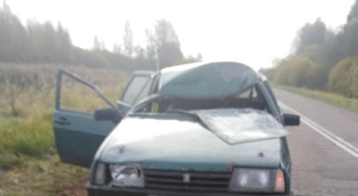 После столкновения с лосем водитель и пассажир «ВАЗ-2109» получили травмы