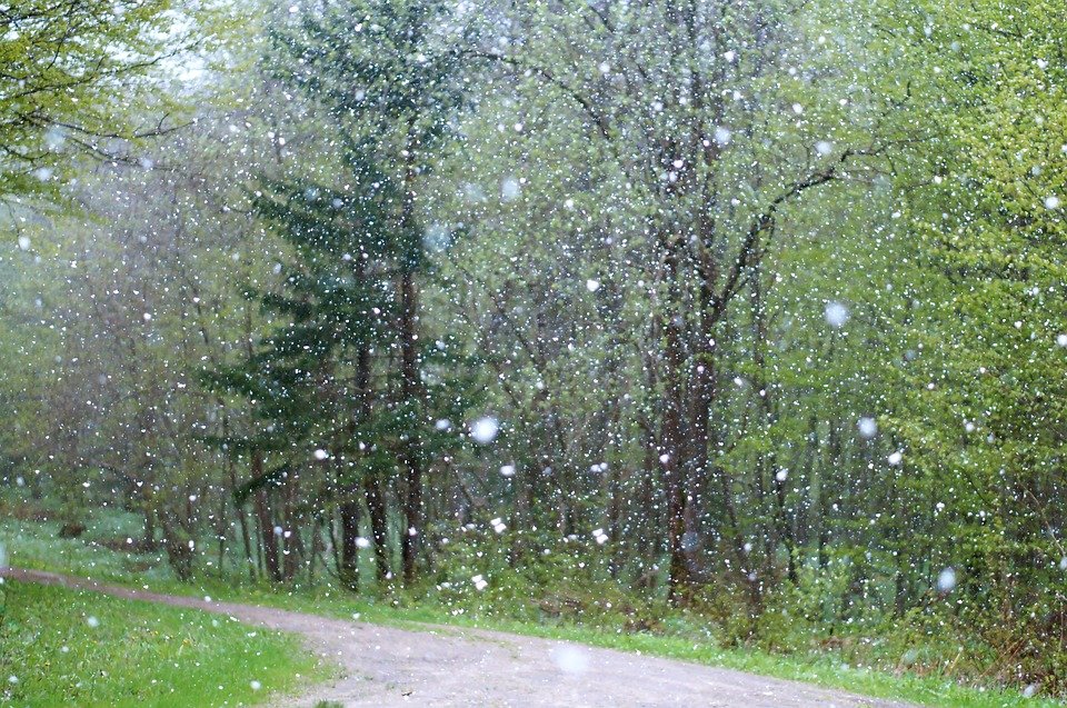 Во вторник на Смоленщине ожидается дождь со снегом