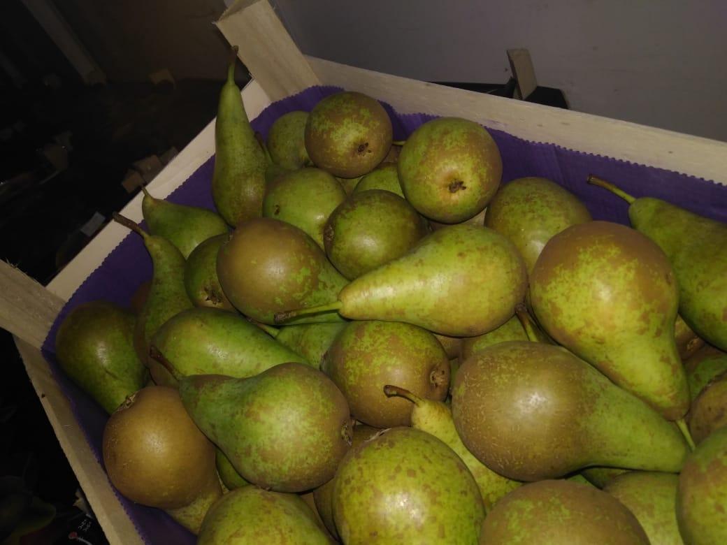 Смоленские таможенники пресекли попытку незаконного ввоза 20 тонн груш
