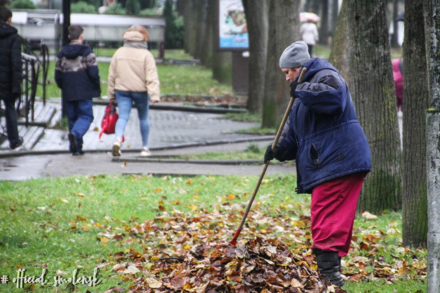 Для уборки листьев в Смоленске применяют мягкие веерные грабли
