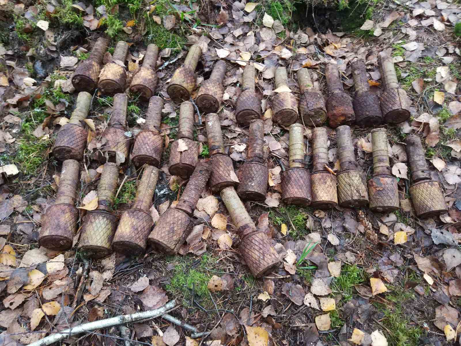 В Смоленской области саперы обезвредили 2 мины и 27 гранат