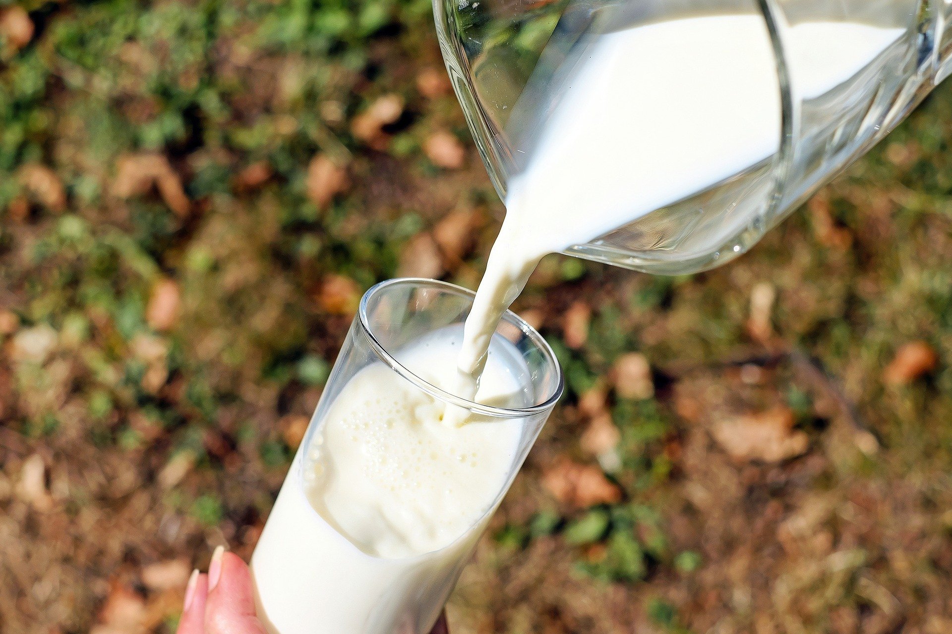 За 9 месяцев 2020 года на Смоленщине произвели более 126 тысяч тонн молока 
