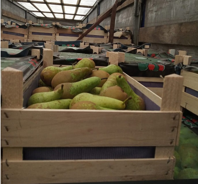 40 тонн фруктов задержали смоленские таможенники