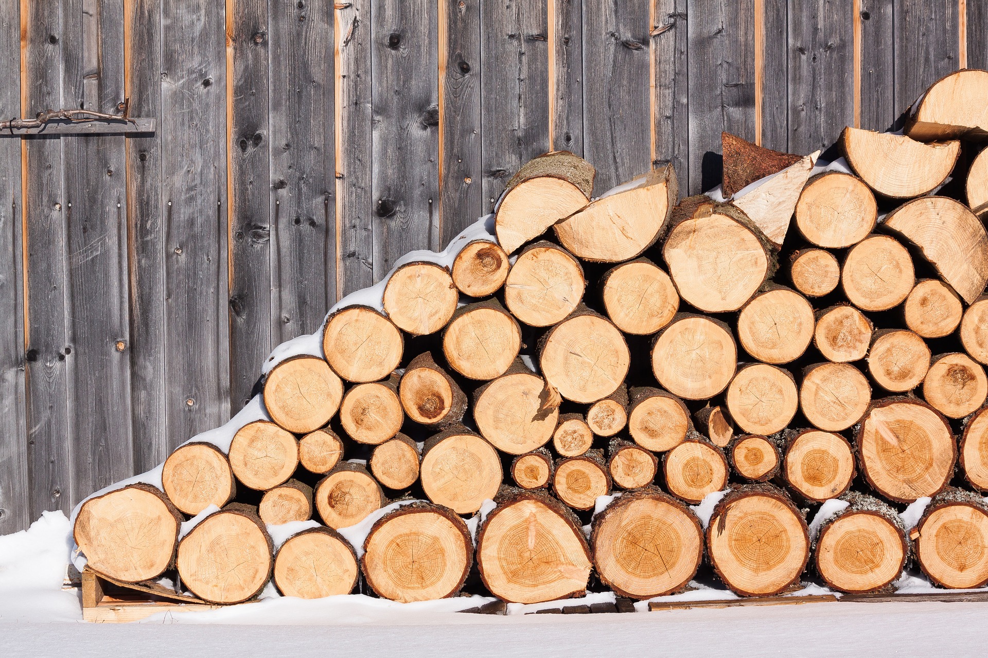 С начала года Смоленщина экспортировала лесопродукцию в 25 стран мира