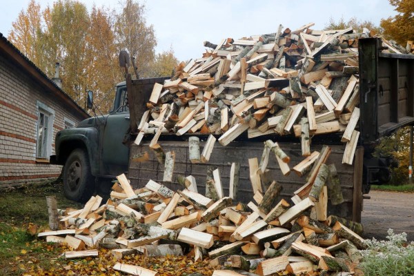 Более 500 домов в смоленских селах обеспечили дровами на зиму