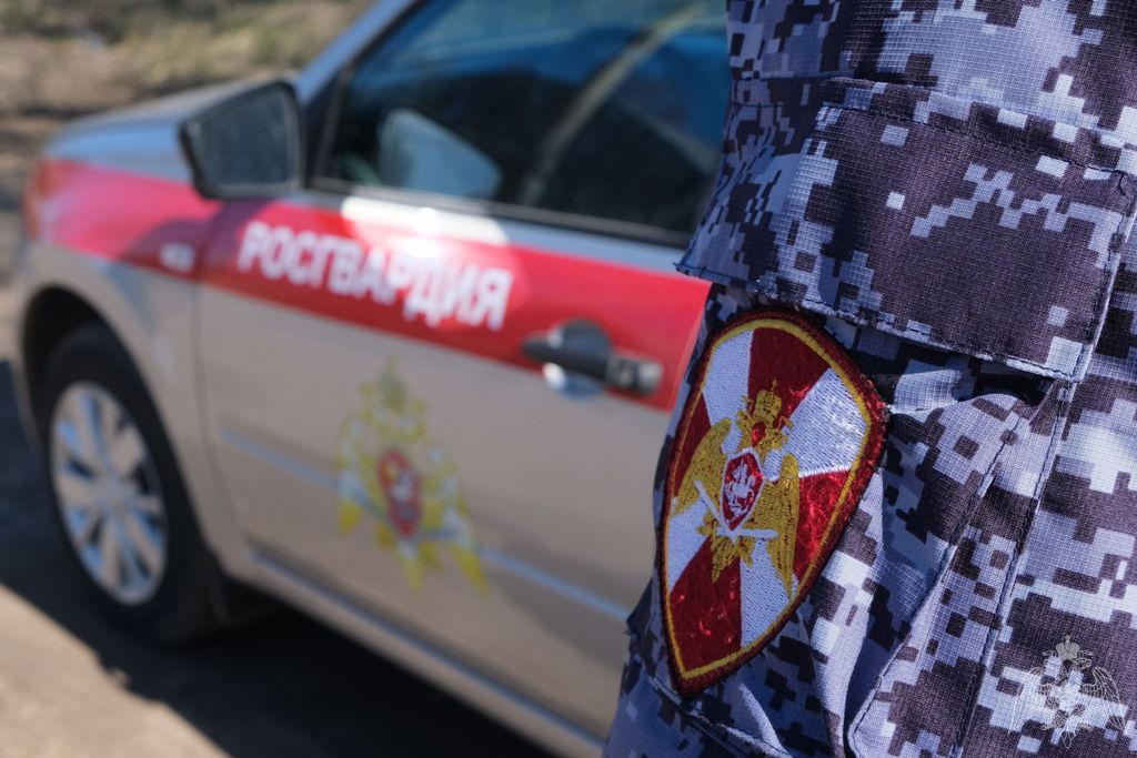 В городе Смоленске бойцы Росгвардии задержали пьяного водителя
