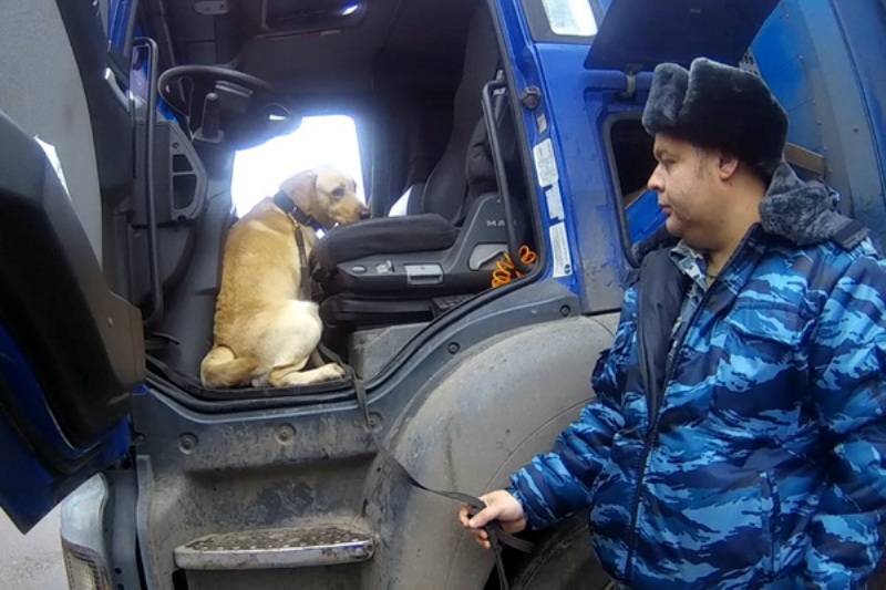 В Смоленской области Босс нашел наркотики в банке из-под кофе