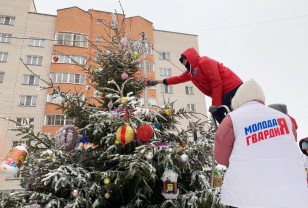 Депутаты горсовета помогают смолянам обрести новогоднее настроение
