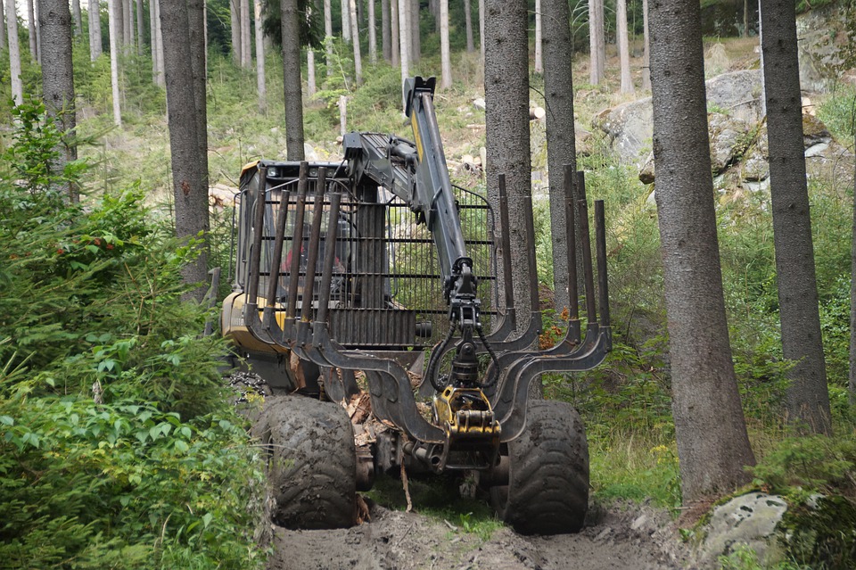 16,4 млн рублей потратят в 2021 году на закупку лесохозяйственной техники