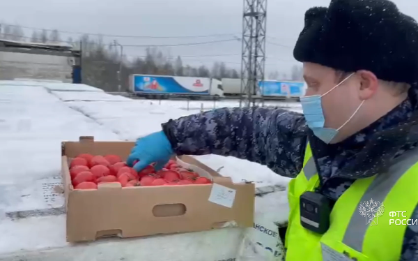 Смоленская таможня не дала добро на ввоз 8 тонн томатов в упаковках от строительных блоков