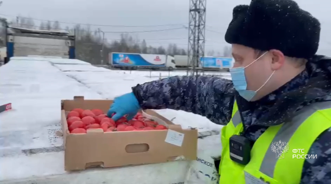 Смоленская таможня не дала добро на ввоз 8 тонн томатов в упаковках от строительных блоков