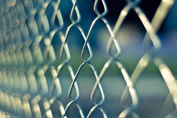 Смоленские пограничники за выходные задержали более 90 нарушителей