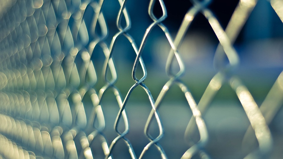 Смоленские пограничники за выходные задержали более 90 нарушителей