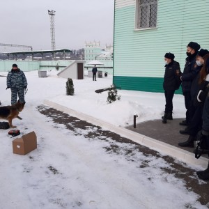В ЛО МВД России на станции Смоленск высадился «Студенческий десант»