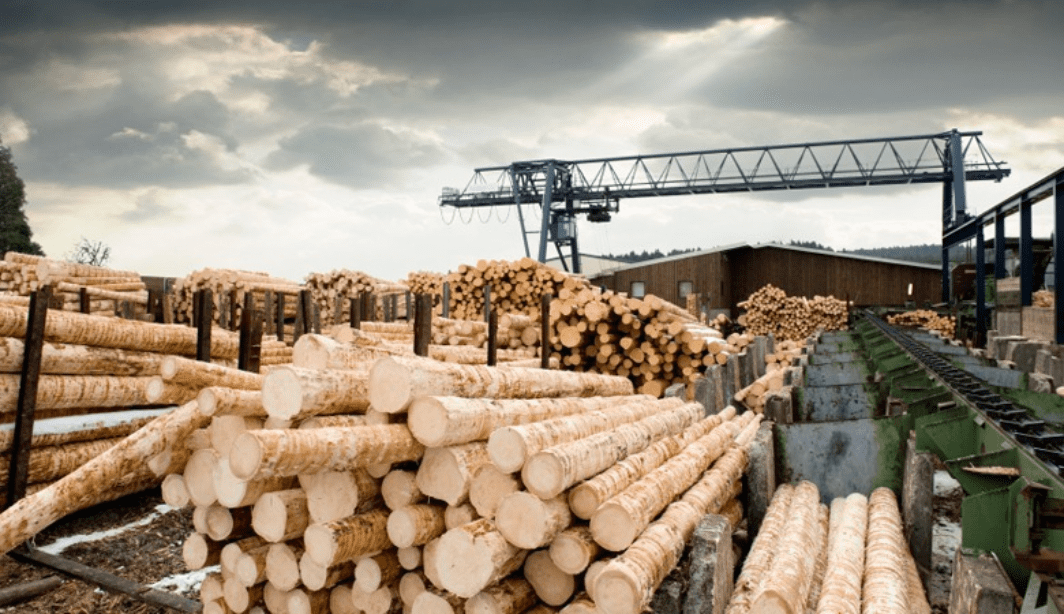 Переработчикам древесины расширили возможности для льготных займов
