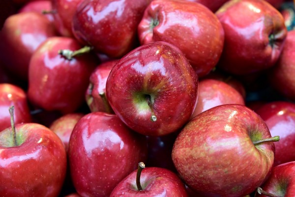 Смоленские таможенники пресекли попытку незаконного ввоза 15,5 тонны яблок