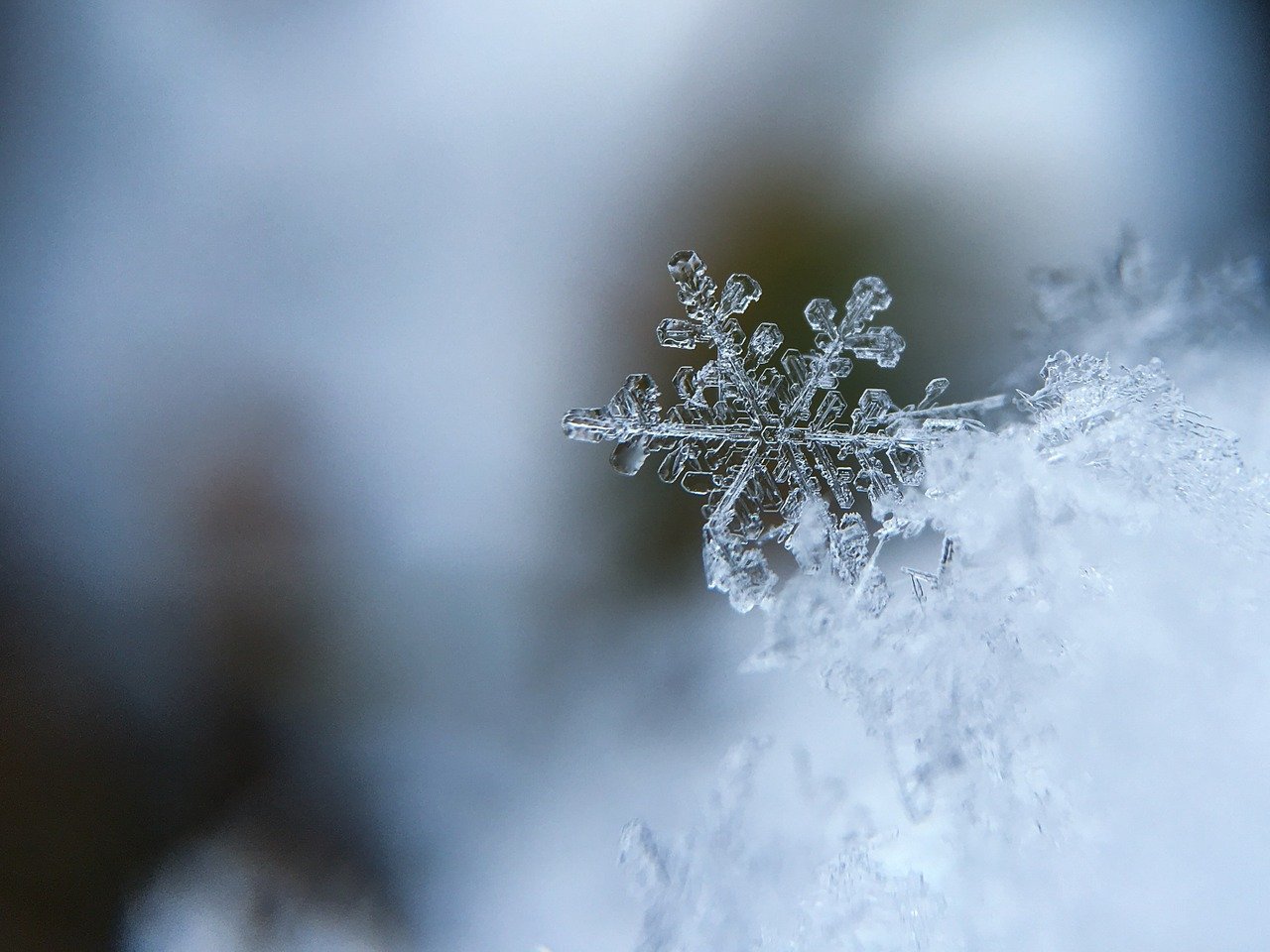 30 января в Смоленской области ожидается небольшой снег